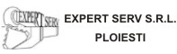 Expert