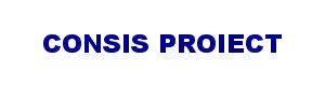 Consis Proiect